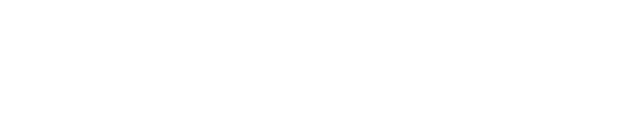 bioseq-VTM -White logo - no background